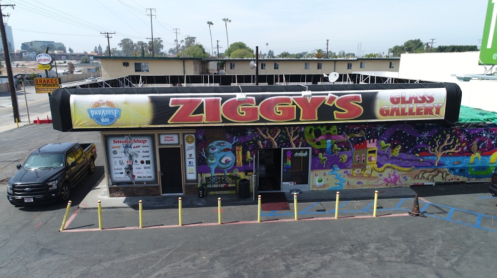 Ziggy’s Smoke Shop